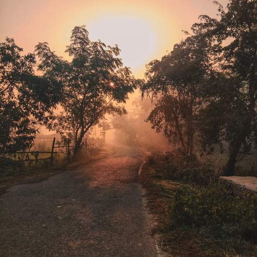 Photo #11550642