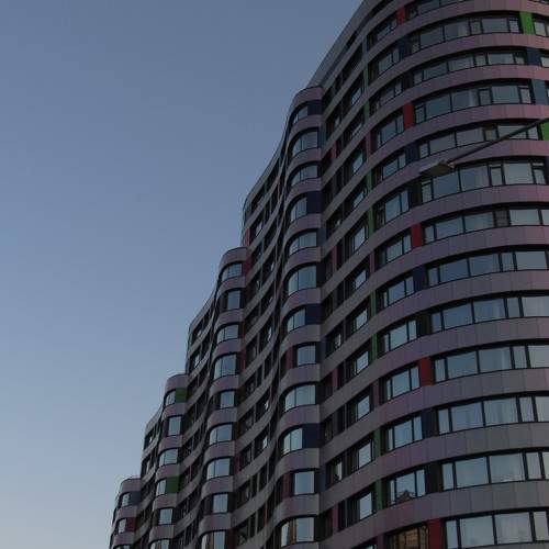 Photo #11550692
