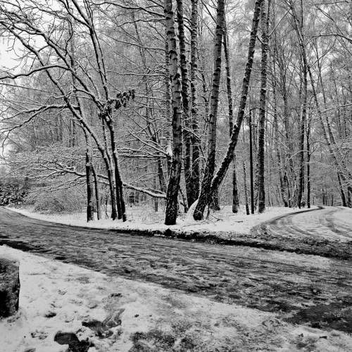 Photo #11550763