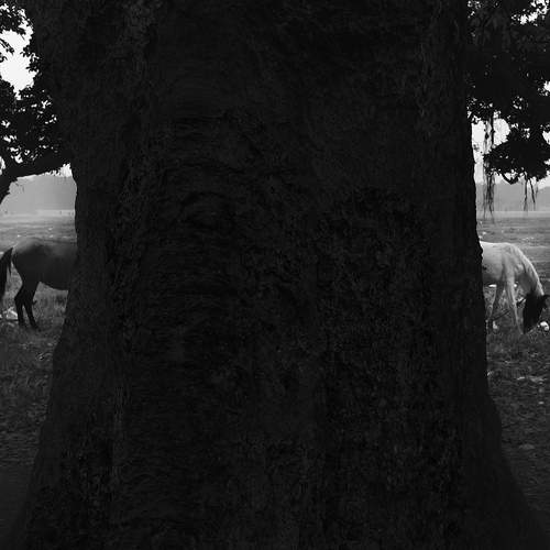Photo #11550859
