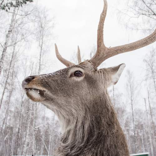 Photo #11550931