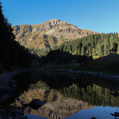 Photo #11551233