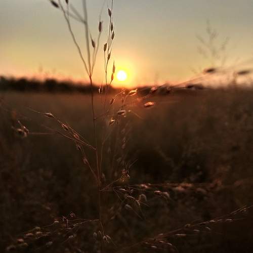 Photo #11551262