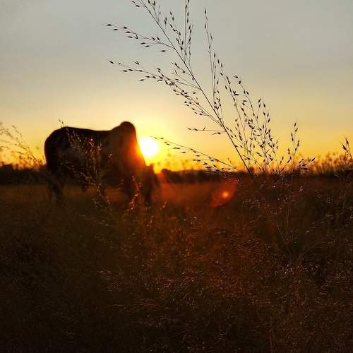 Photo #11551277
