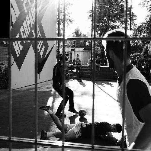 Photo #11551314