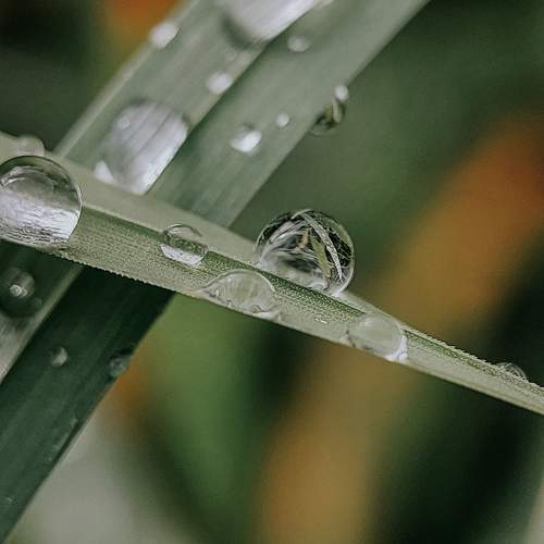Photo #11551357