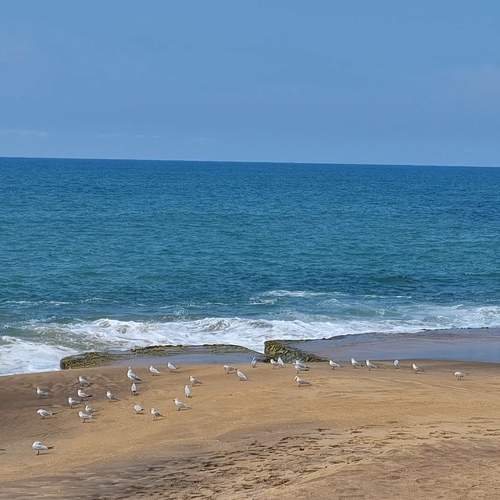 Photo #11551589