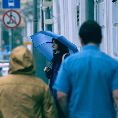 Photo #11551601