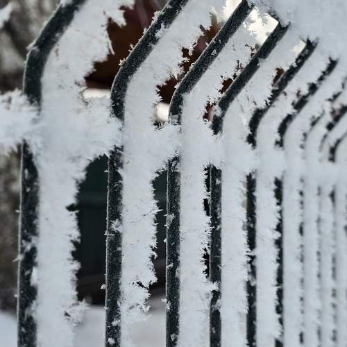 Photo #11552390