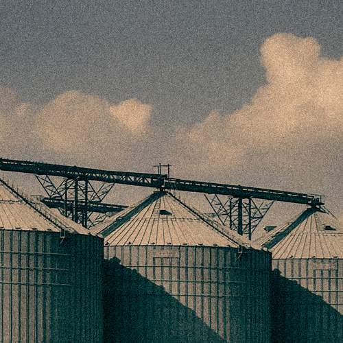 Photo #11552556