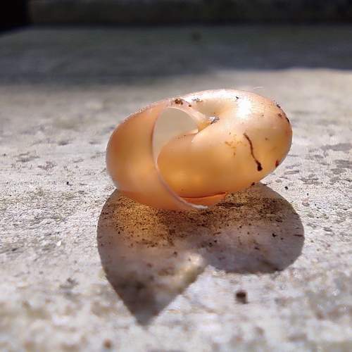 Photo #11552672