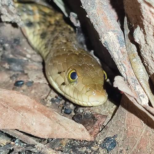 Photo #11552683