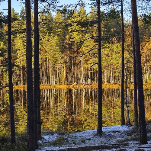 Photo #11552880