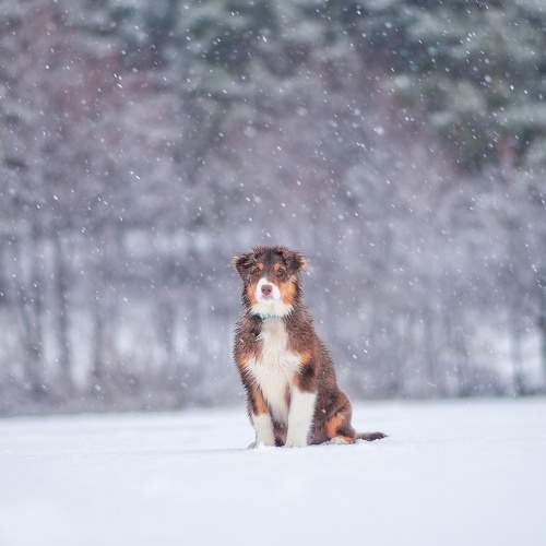 Photo #11553394