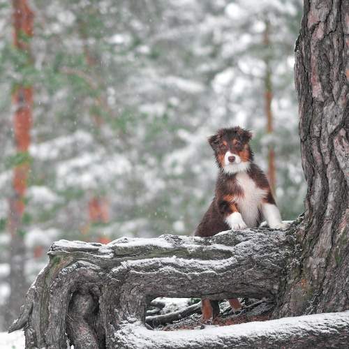 Photo #11553430