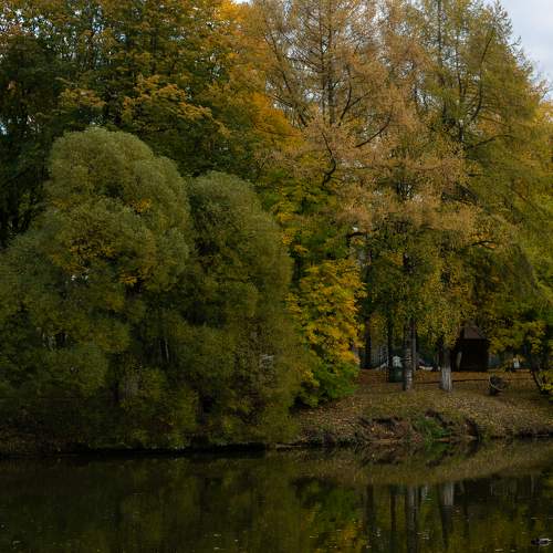 Photo #11553657