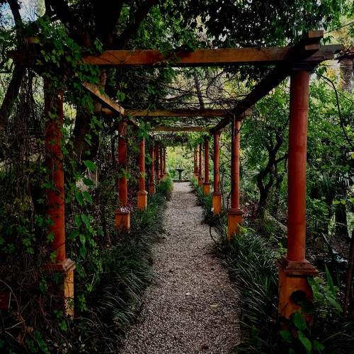 Photo #11554126