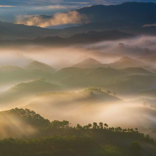 Long Quan Lai tran
