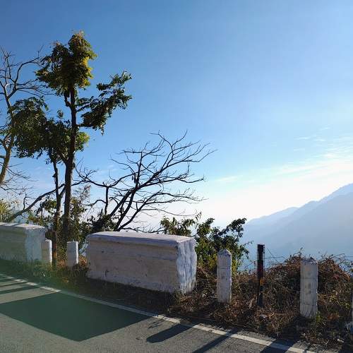 Photo #11554463