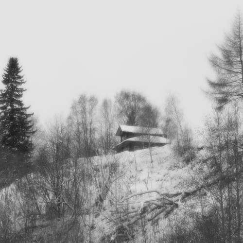 Фотография #11554560