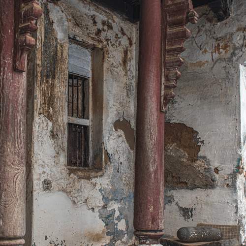 Photo #11554585