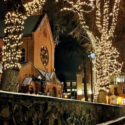 Photo #11554811
