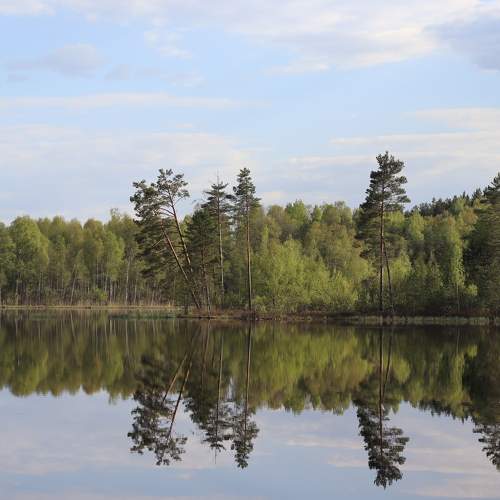 Photo #11554856