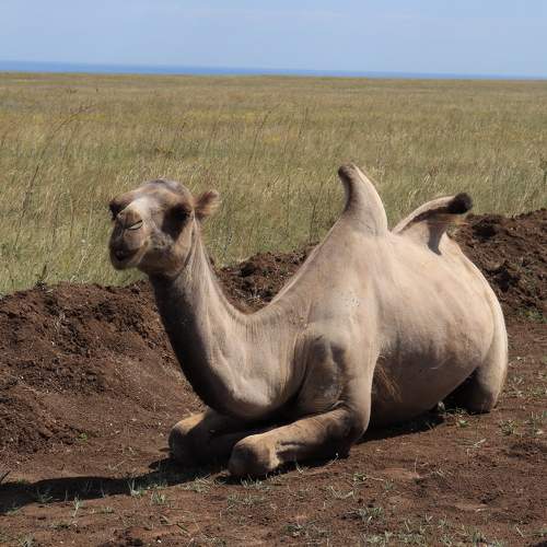 Photo #11554964