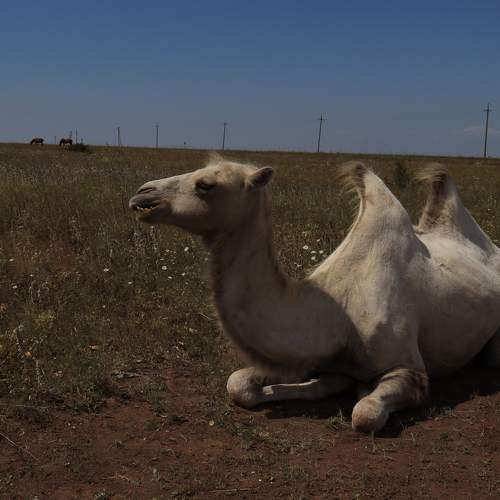 Photo #11554979