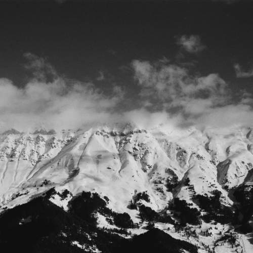 Photo #11555244