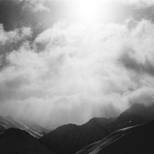 Photo #11555253