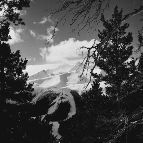 Photo #11555262