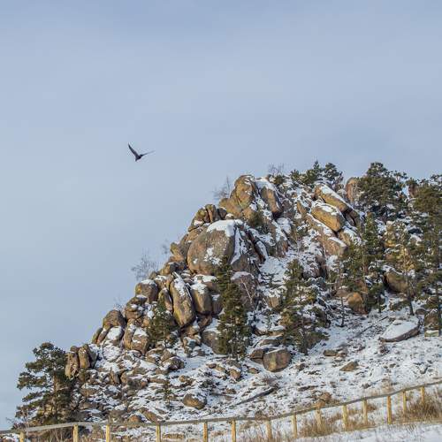 Photo #11556051