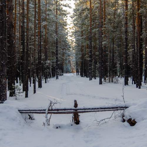 Photo #11556077