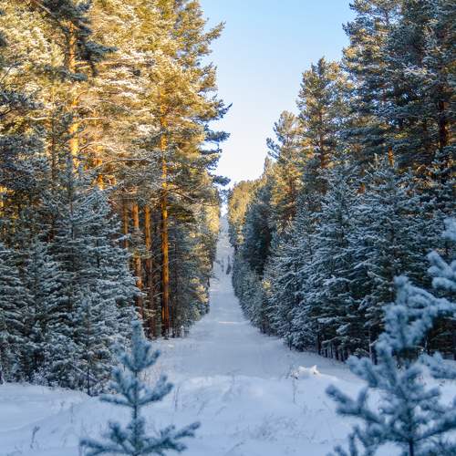 Photo #11556079