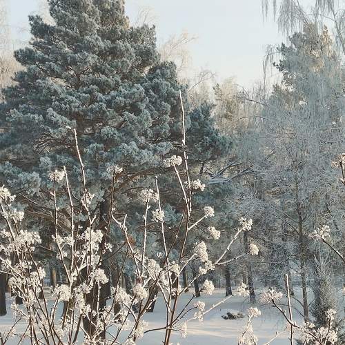 Photo #11556198