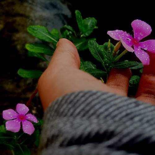 Photo #11556367