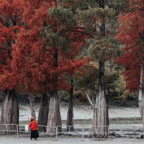 Photo #11556465