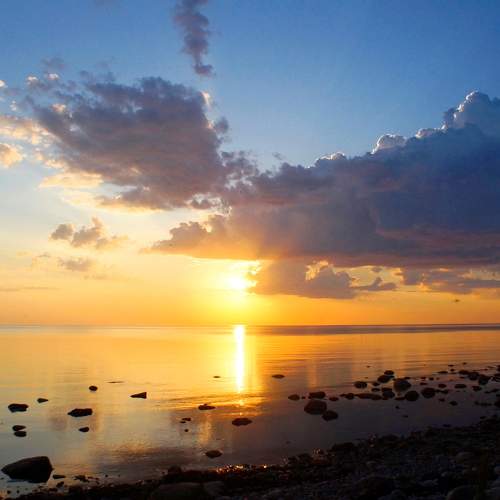 Photo #11556554