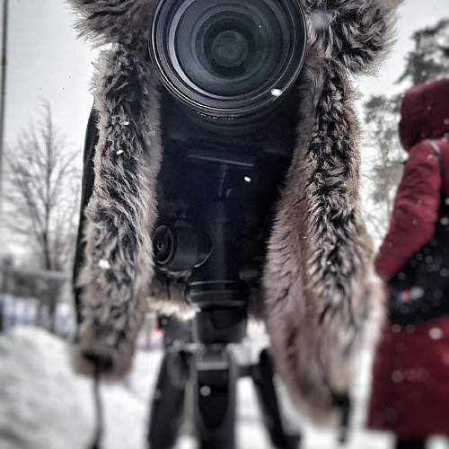 Photo #11556687