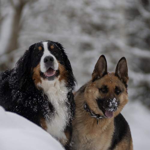 Photo #11556816