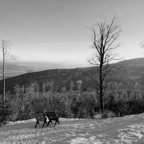 Photo #11557120