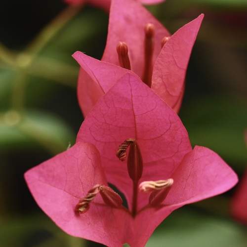 Photo #11557272