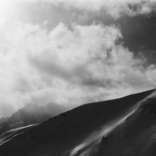 Photo #11557795