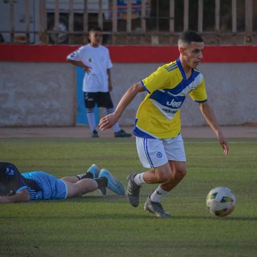 Photo #11558455