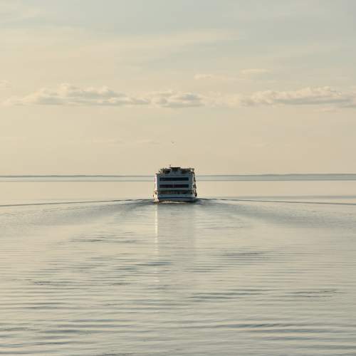 Photo #11558487