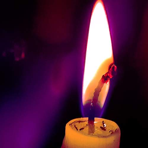 Purple U