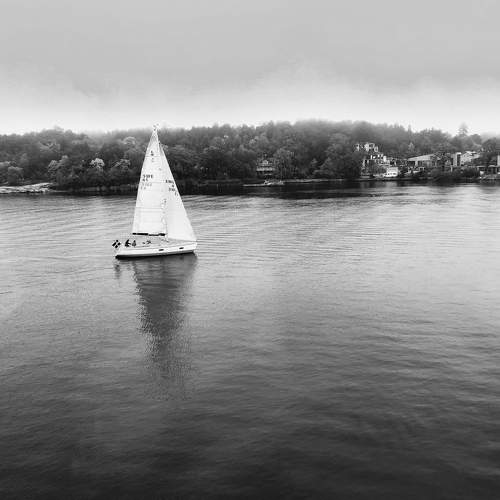 Tranquil Sail