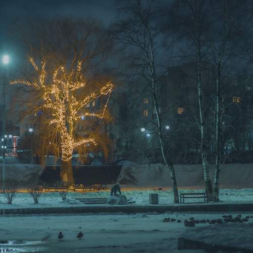 Фотография #11559706