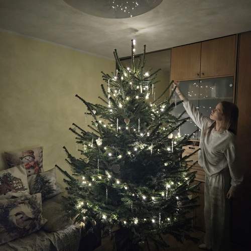 Photo #11559888